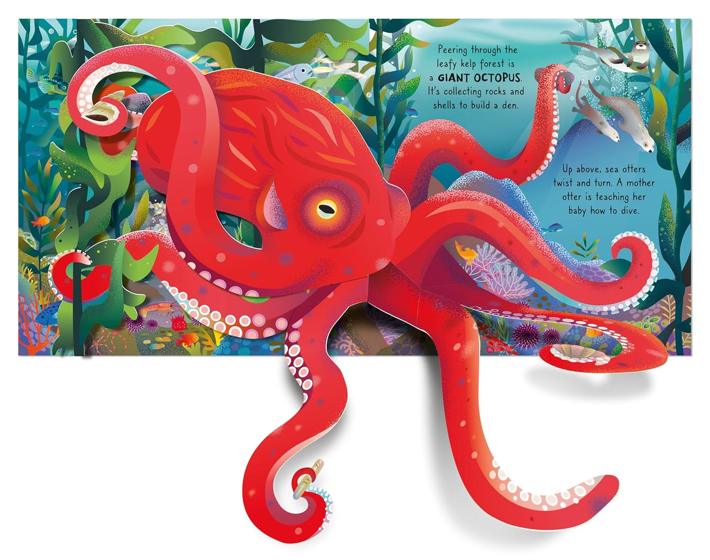 Usborne Pop-Up Ocean