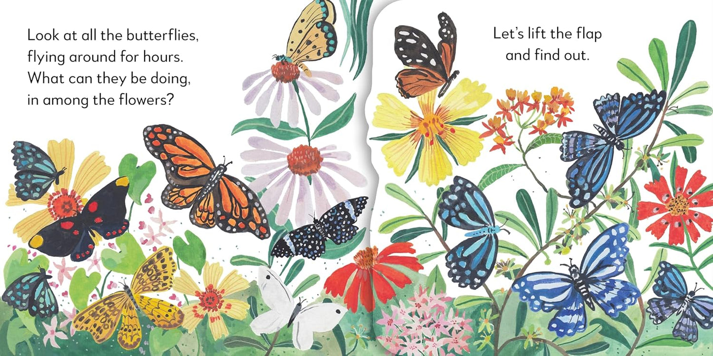 Pop-Up Peekaboo! Butterfly