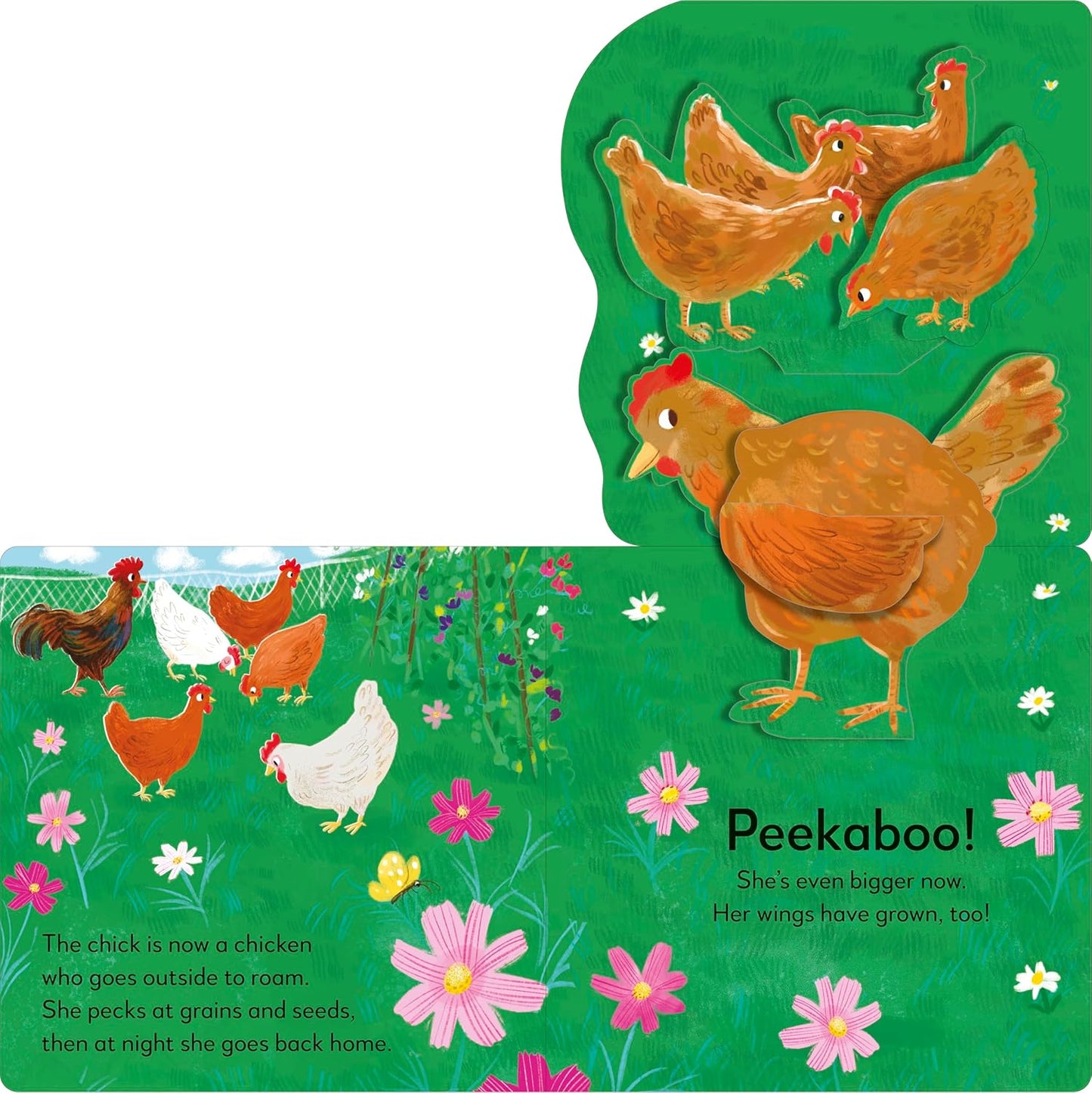 Pop-Up Peekaboo! Chick