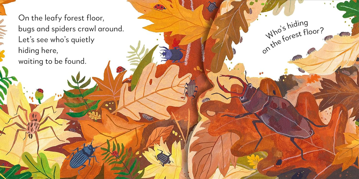 Pop-Up Peekaboo! Forest
