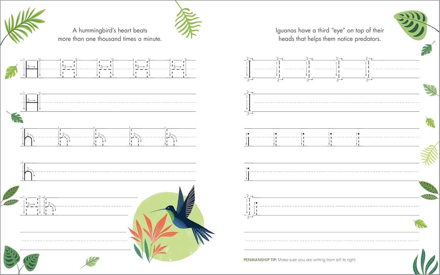Print Penmanship Workbook for Kids