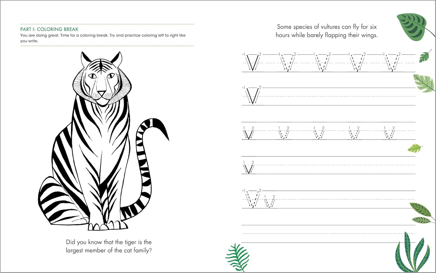 Print Penmanship Workbook for Kids