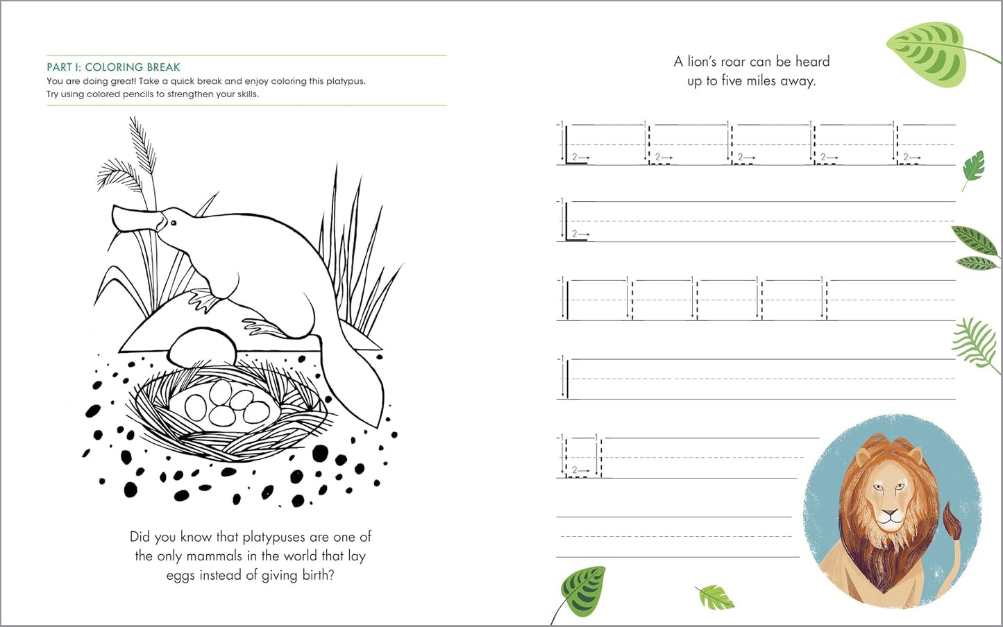 Print Penmanship Workbook for Kids