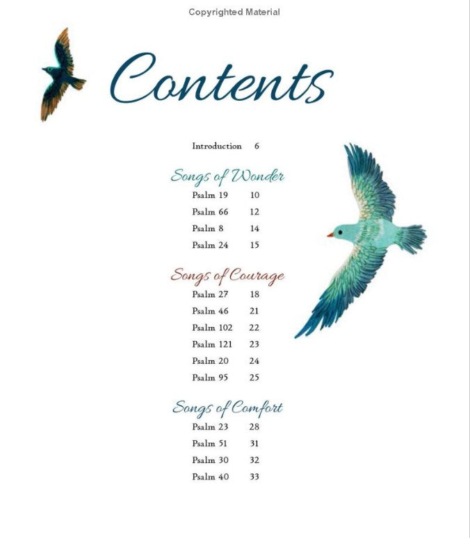 Psalms of Wonder: Poems from the Book of Songs