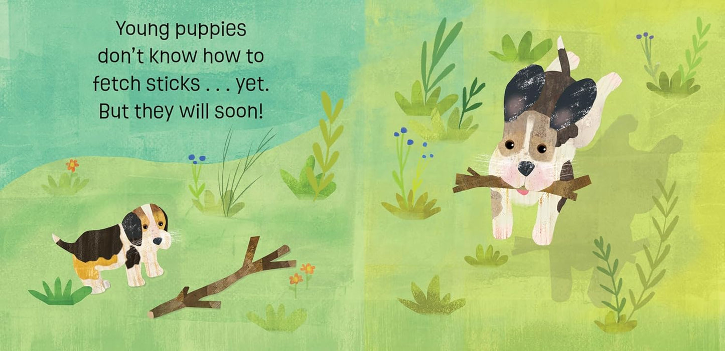 Puppies Know & Grow