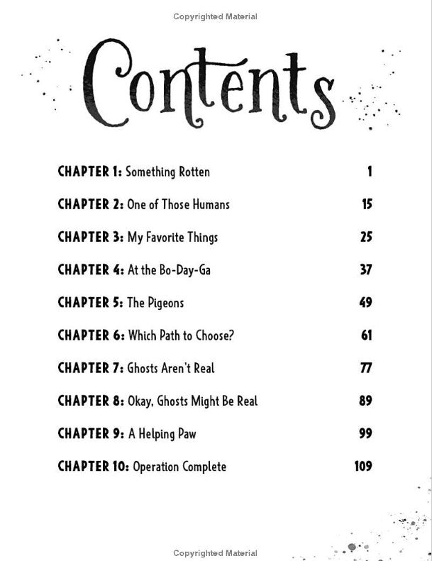 Ratnip #1: Lost and Found in the City