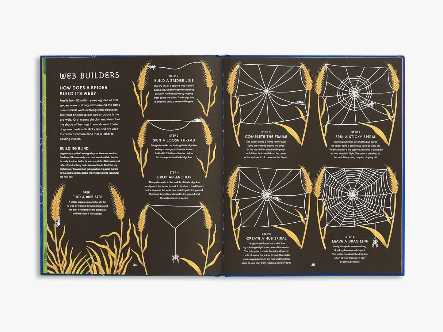 The Secret World of Spiderwebs
