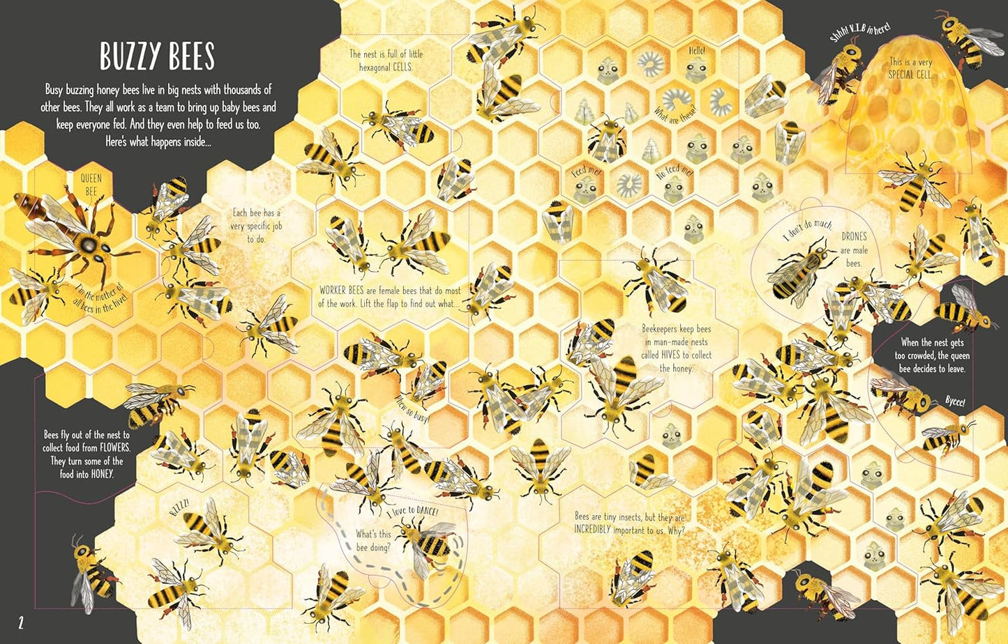See Inside Bugs and Butterflies