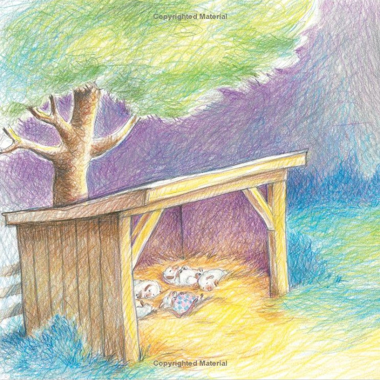 Sheep Go to Sleep