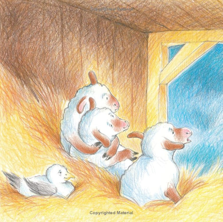 Sheep Go to Sleep