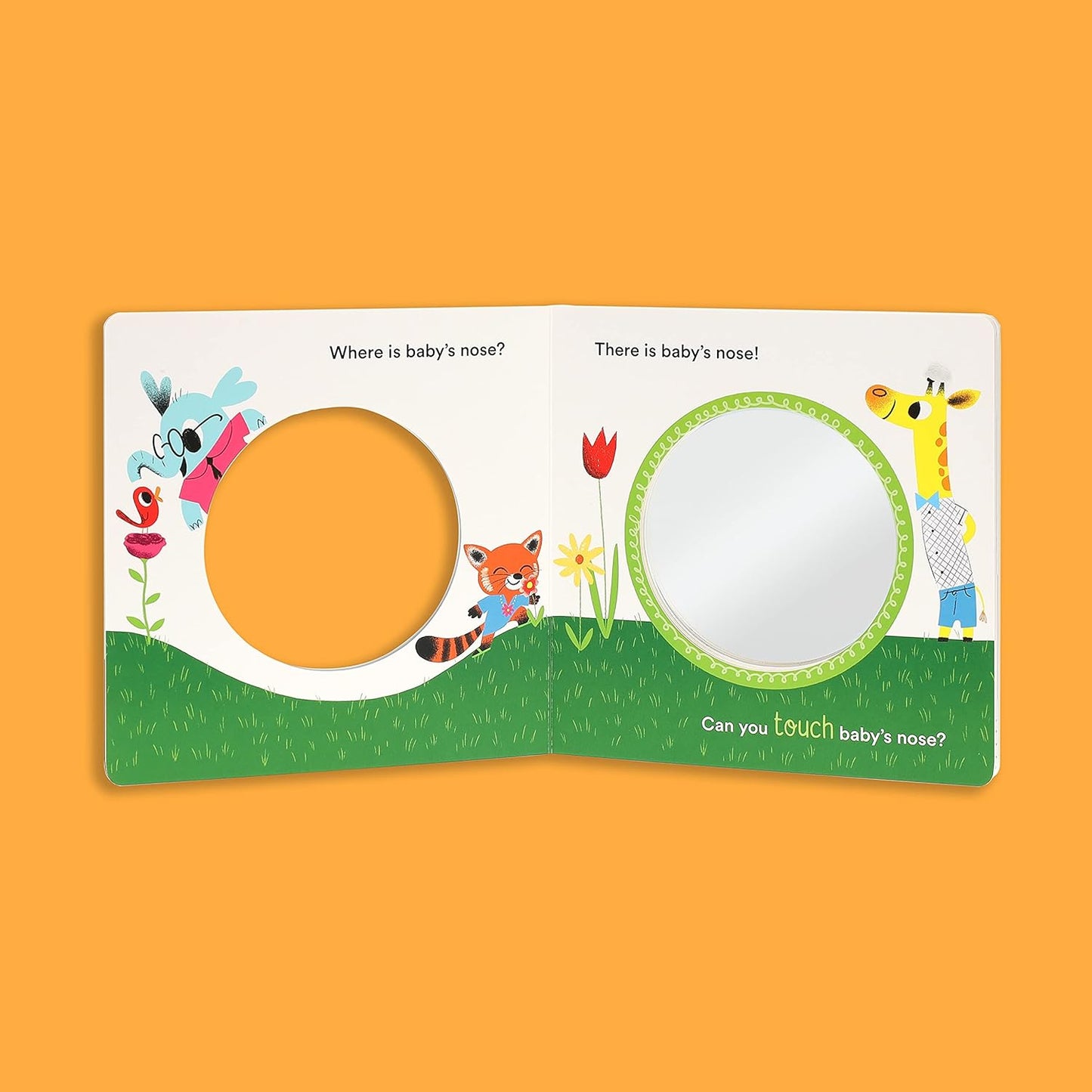 Beginning Baby: Smile, Baby!