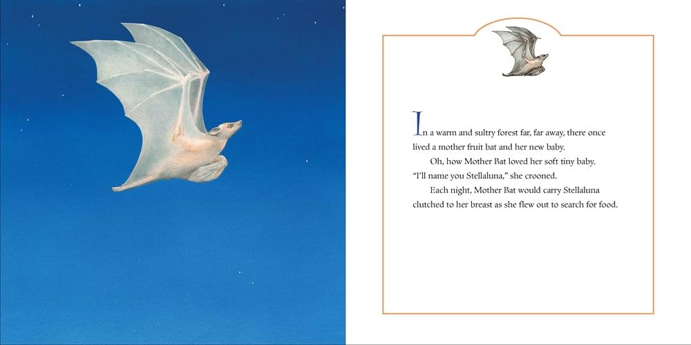 Stellaluna Board Book