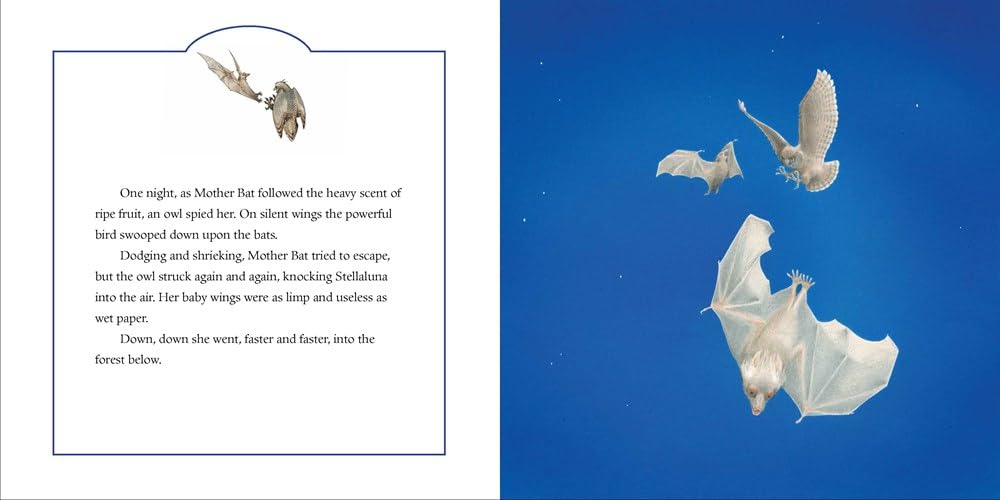 Stellaluna Board Book