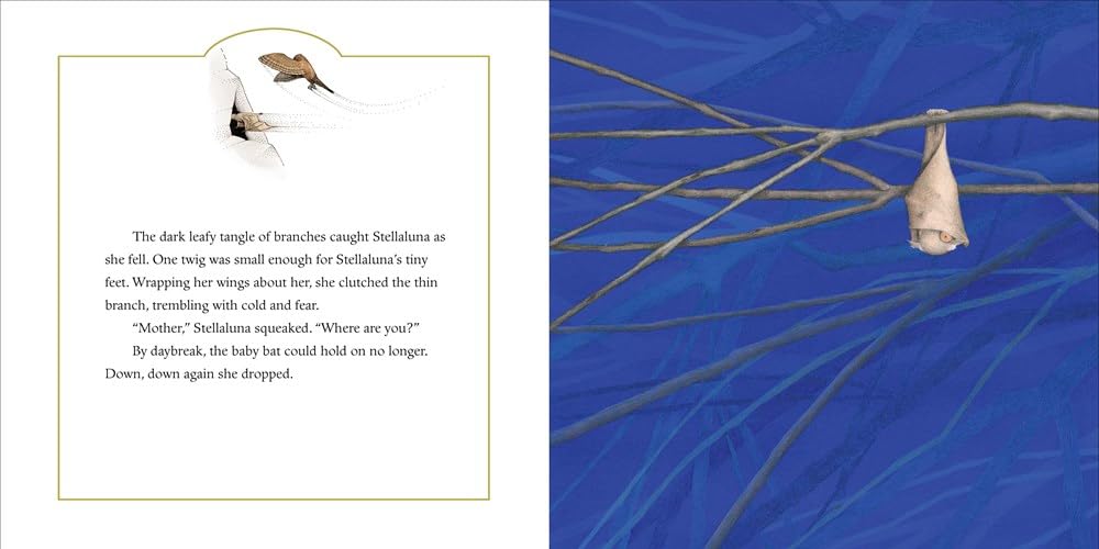 Stellaluna Board Book