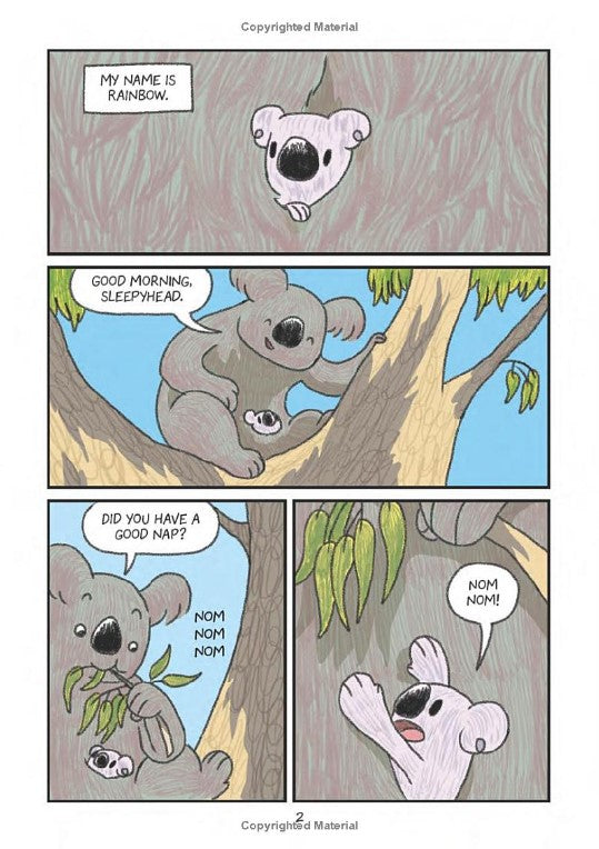 Surviving The Wild: Rainbow the Koala