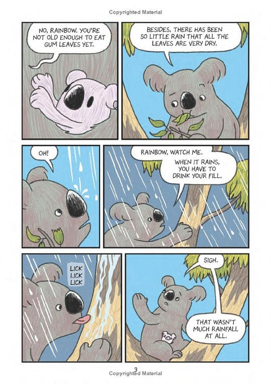 Surviving The Wild: Rainbow the Koala