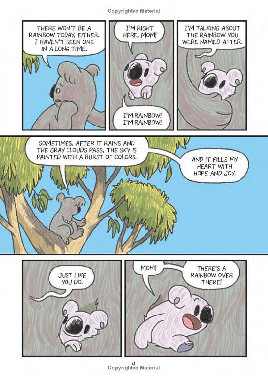 Surviving The Wild: Rainbow the Koala