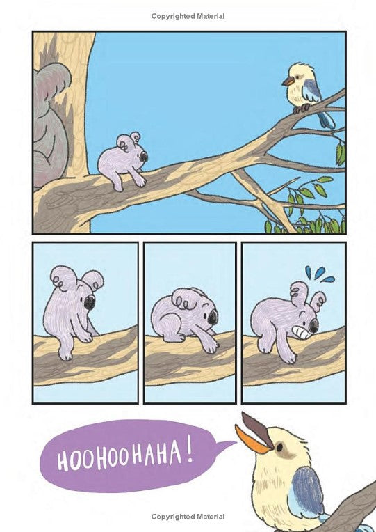 Surviving The Wild: Rainbow the Koala