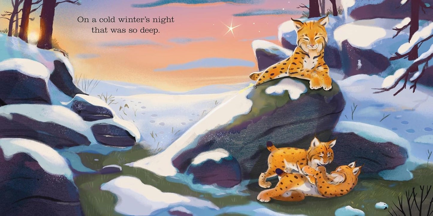 A Christmas Song: The First Noel