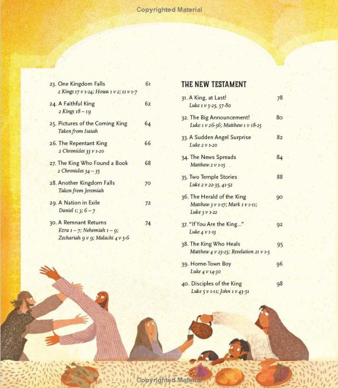 The Kingdom and the King Storybook Bible