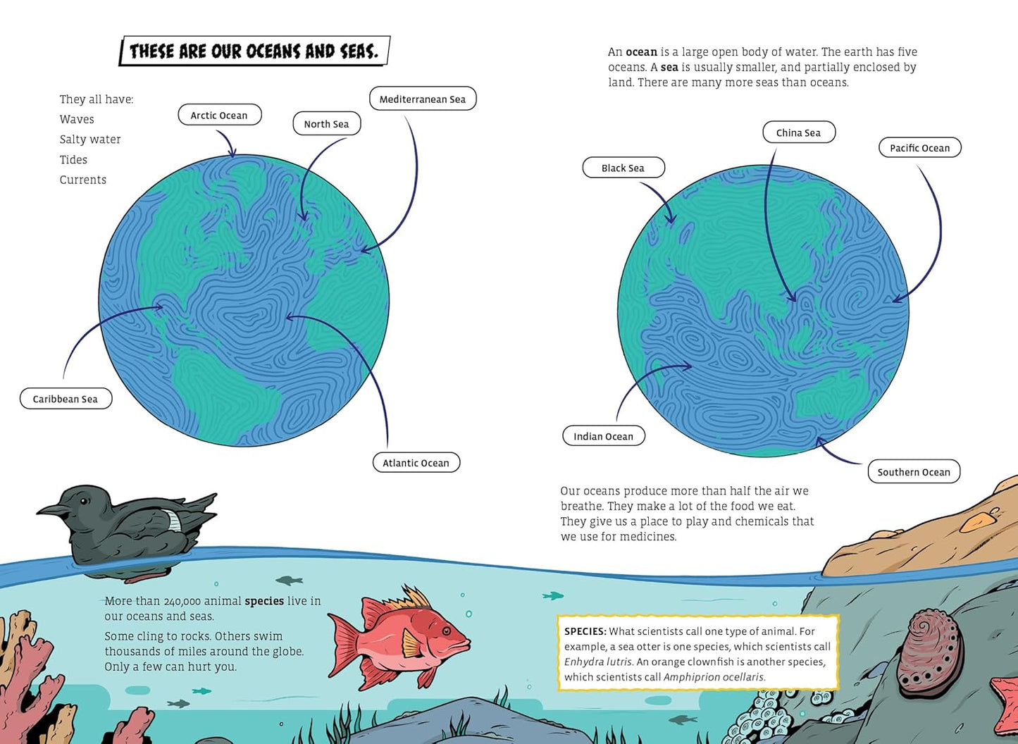 The Deadliest Sea Creature