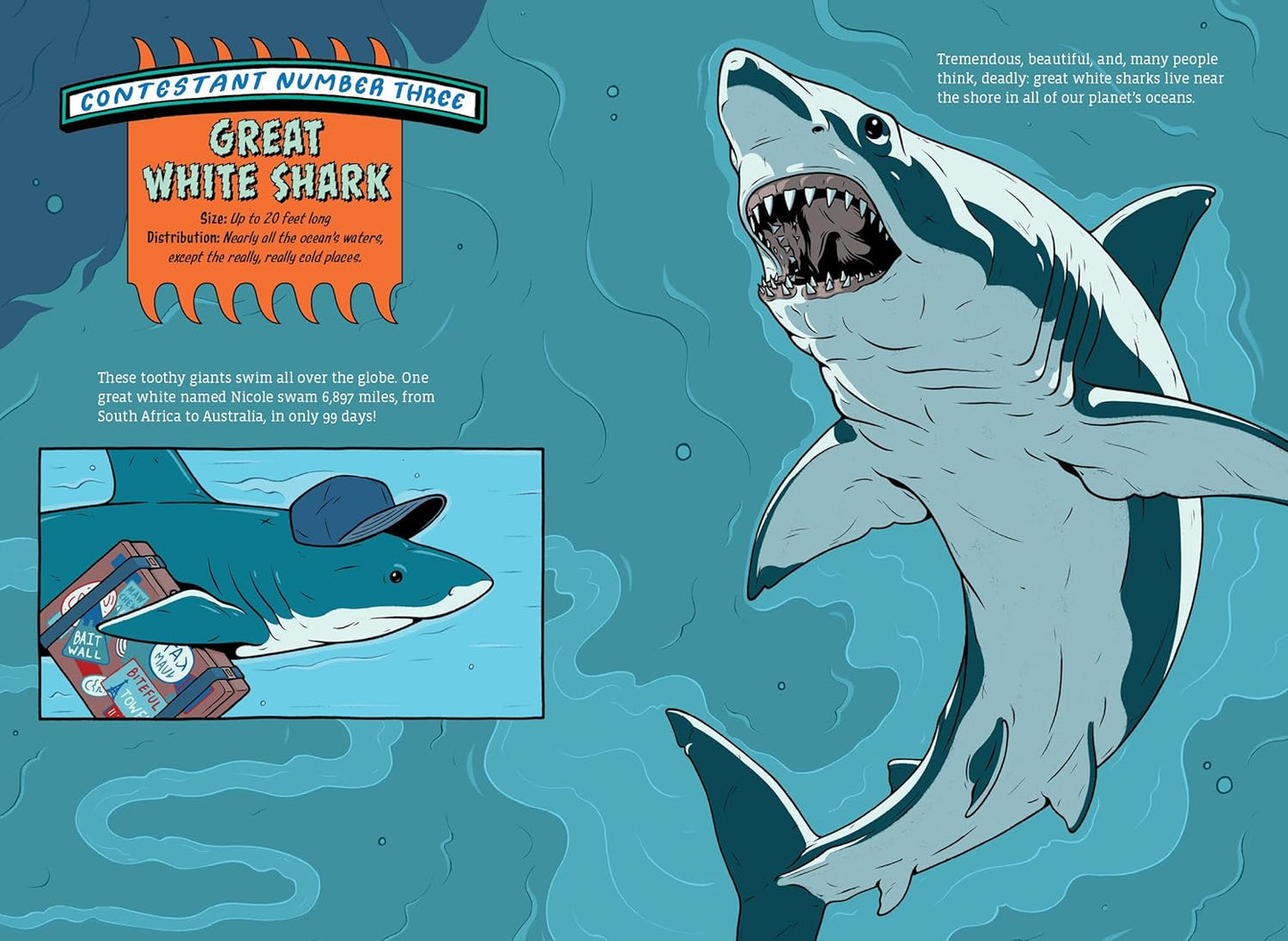 The Deadliest Sea Creature