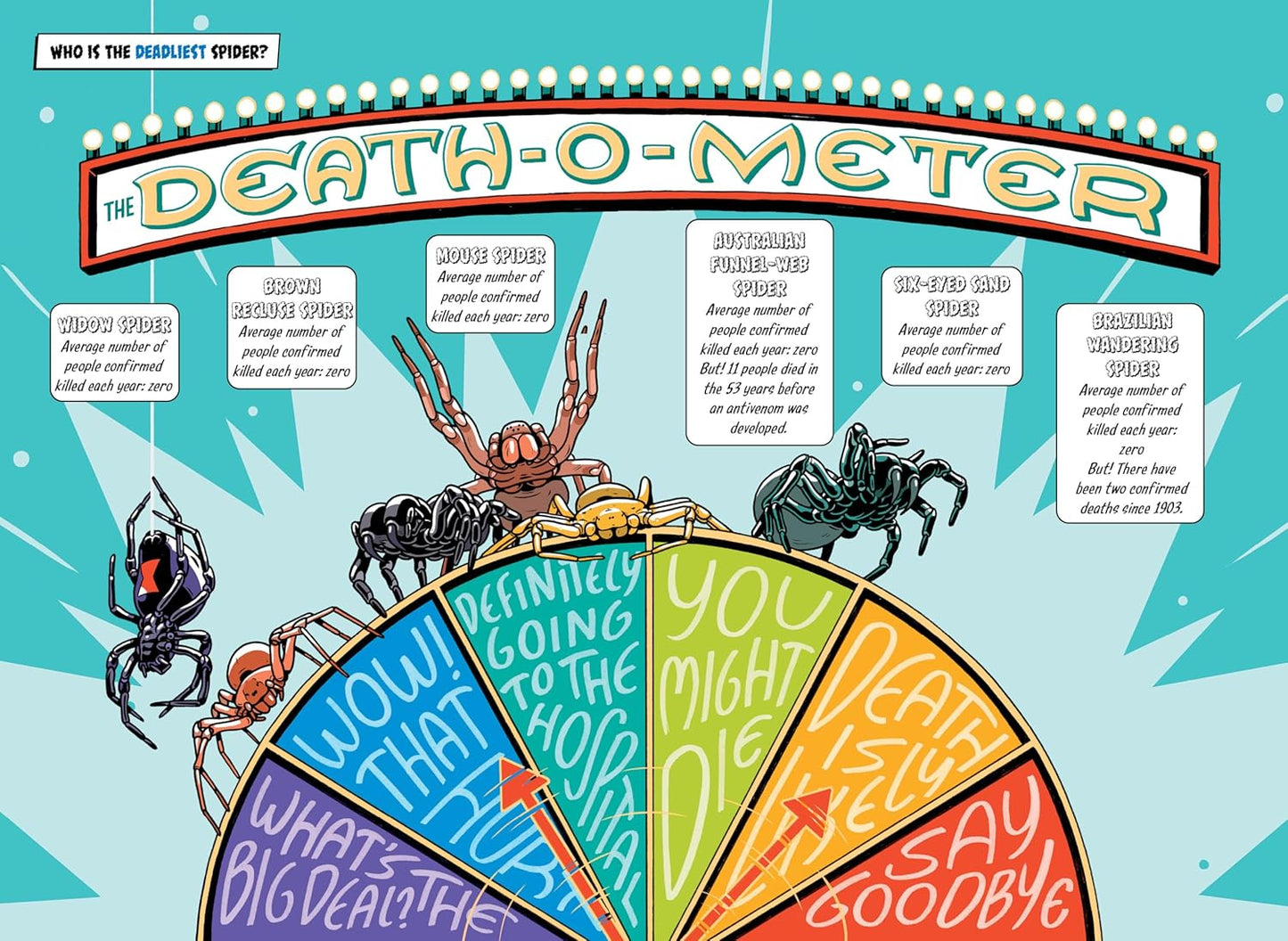The Deadliest Spider
