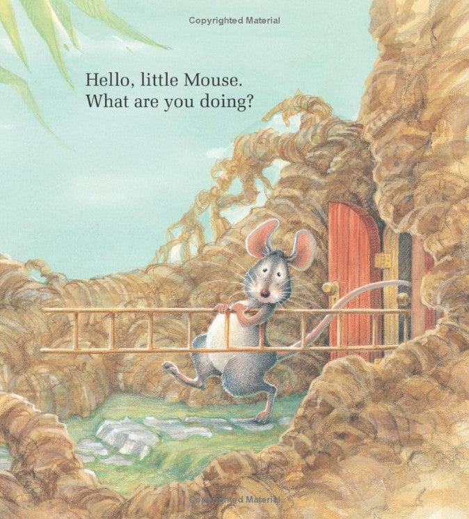 The Little Mouse, the Red Ripe Strawberry, and the Big Hungry Bear