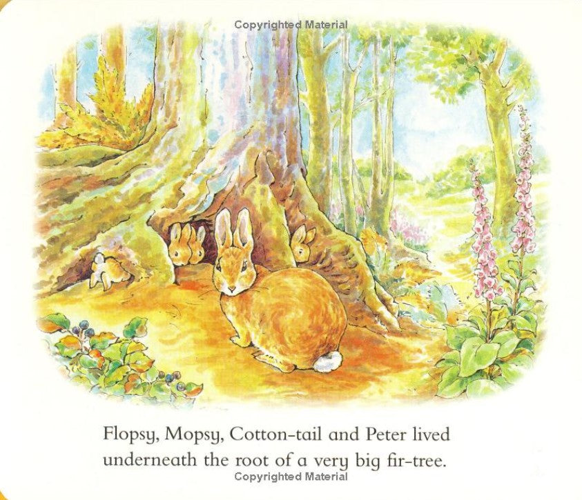 The Tale of Peter Rabbit: A Story Board Book