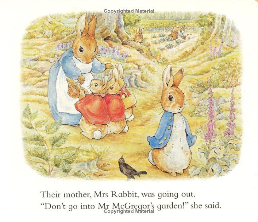 The Tale of Peter Rabbit: A Story Board Book
