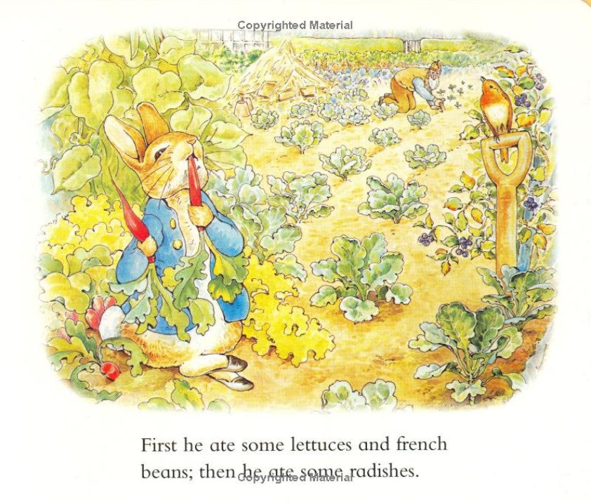 The Tale of Peter Rabbit: A Story Board Book
