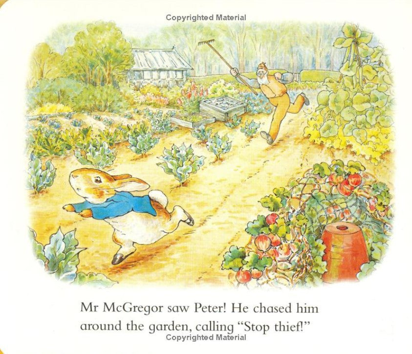 The Tale of Peter Rabbit: A Story Board Book