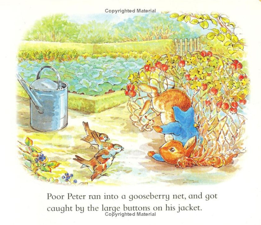 The Tale of Peter Rabbit: A Story Board Book