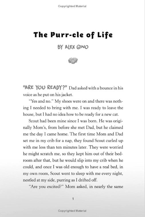 This Is Our Rainbow: 16 Stories of Her, Him, Them, and Us
