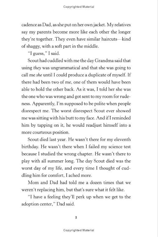 This Is Our Rainbow: 16 Stories of Her, Him, Them, and Us