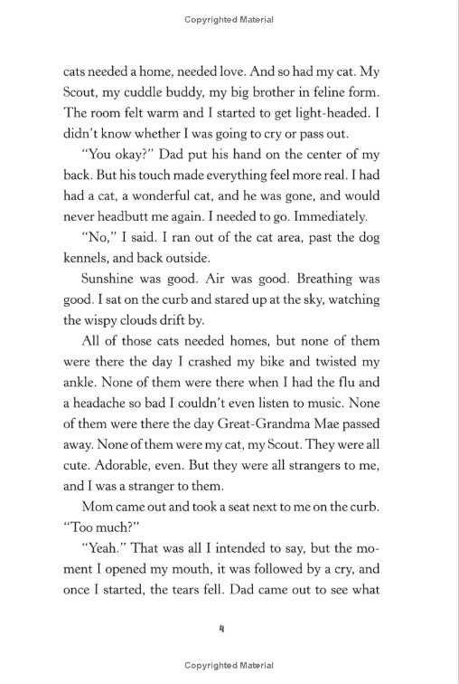 This Is Our Rainbow: 16 Stories of Her, Him, Them, and Us