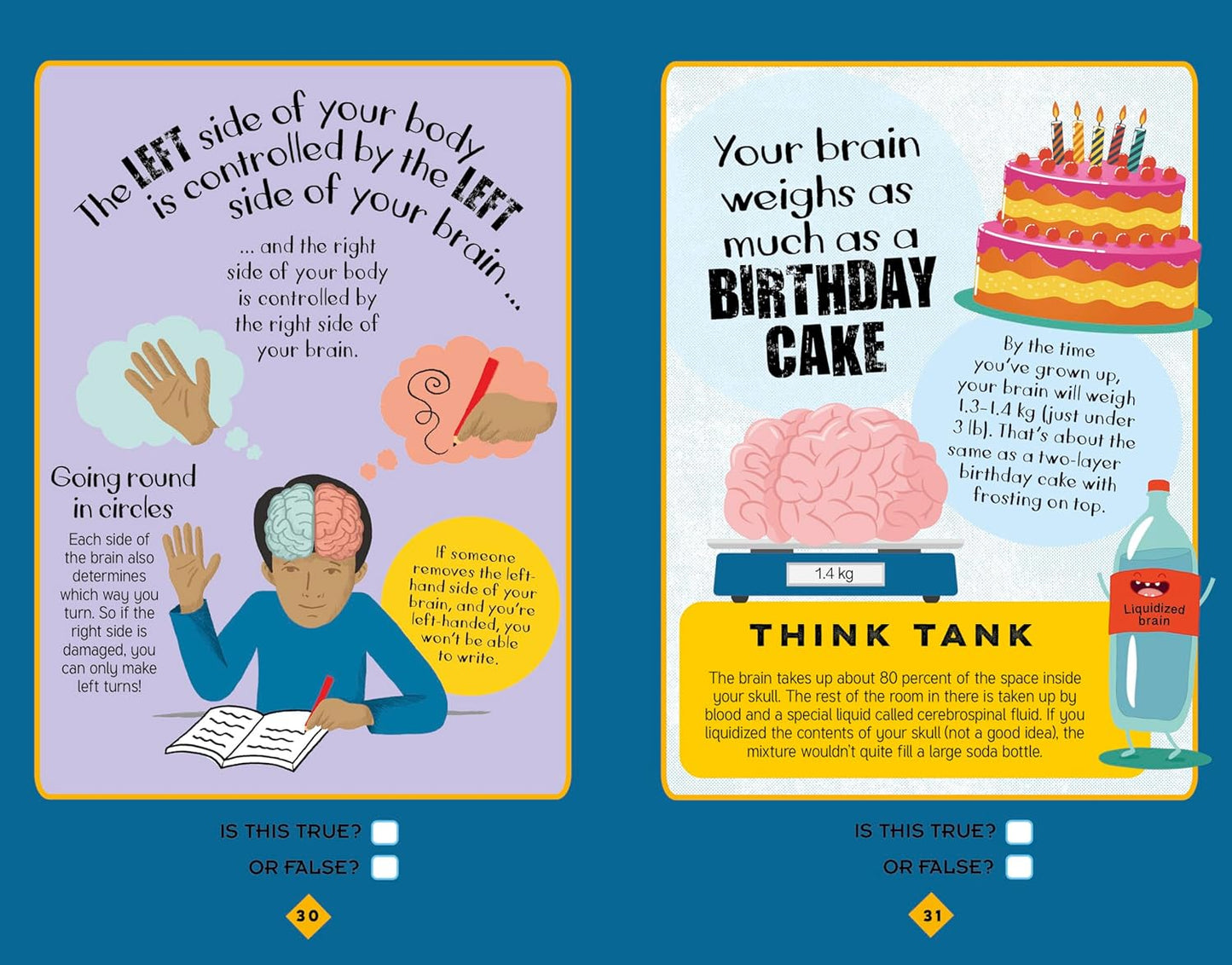 True or False? Family Game