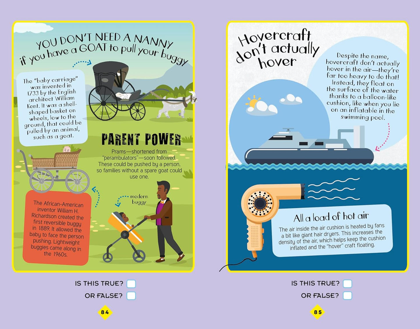 True or False? Family Game