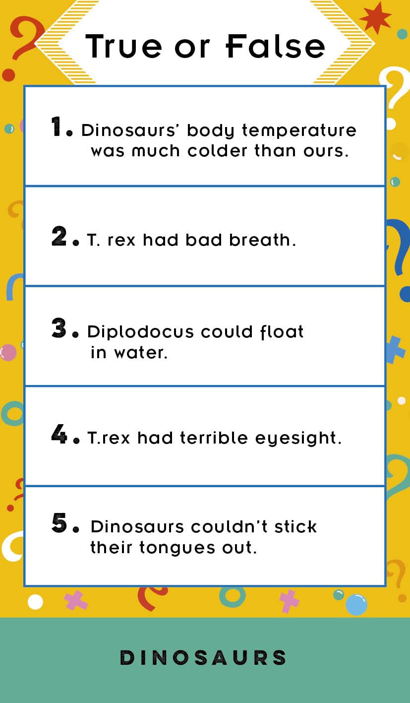 True or False? Family Game