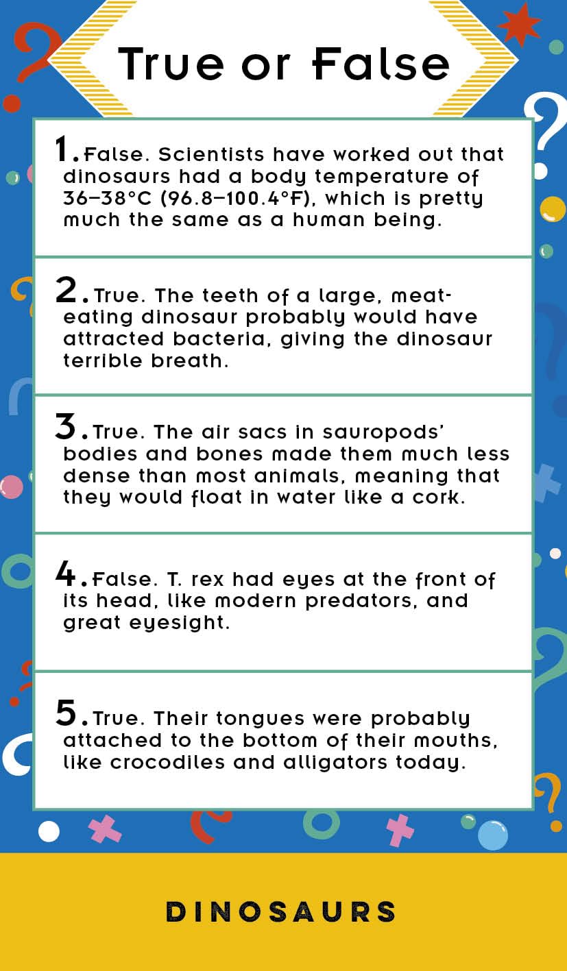 True or False? Family Game