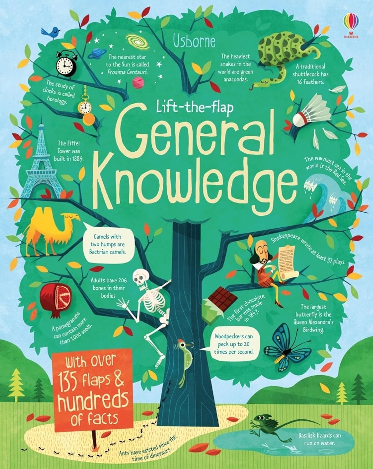 Usborne Lift-The-Flap General Knowledge