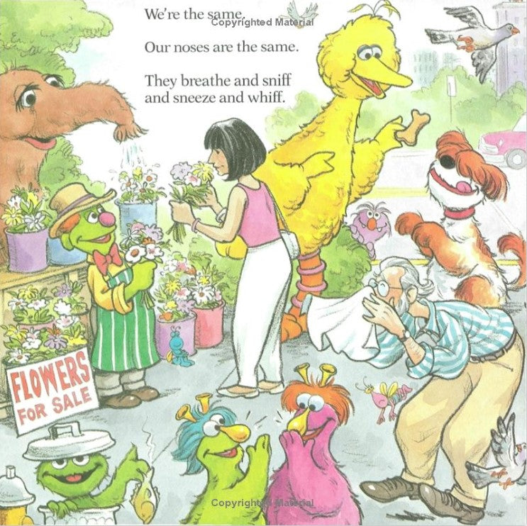 Sesame Street: We're Different, We're the Same
