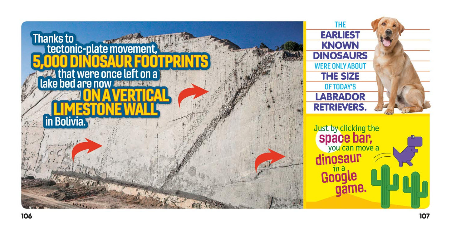 Weird But True! Dinosaurs