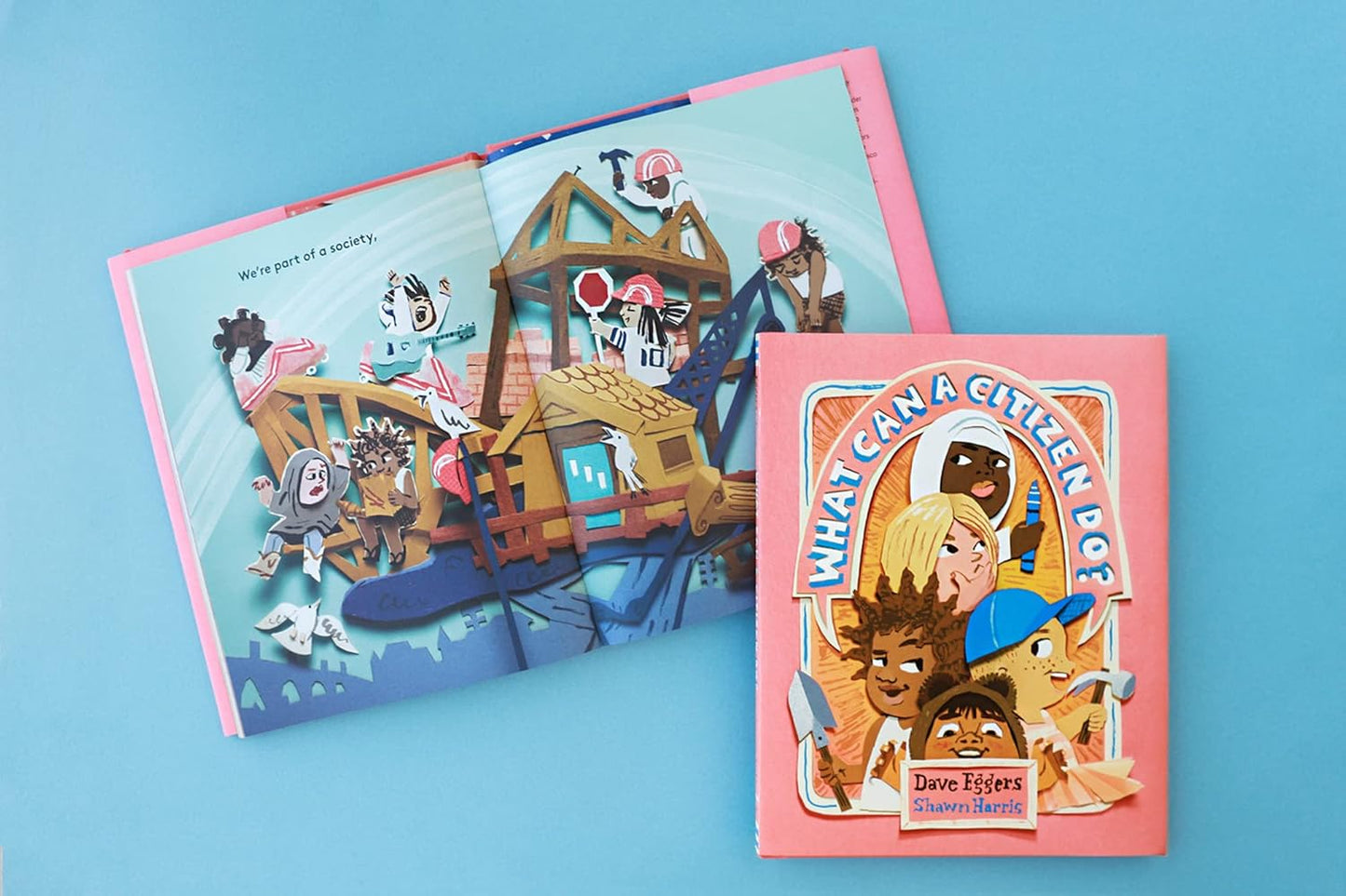 What Can a Citizen Do?