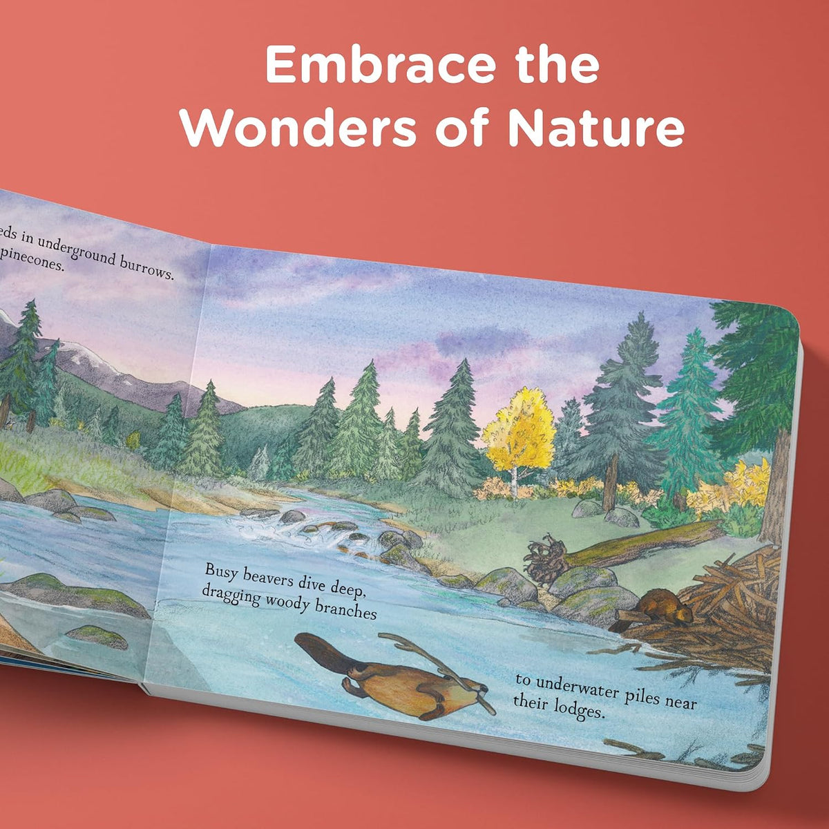 When Fall Comes: Connecting with Nature as the Days Grow Shorter