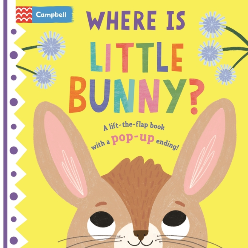 Where Is Little Bunny?