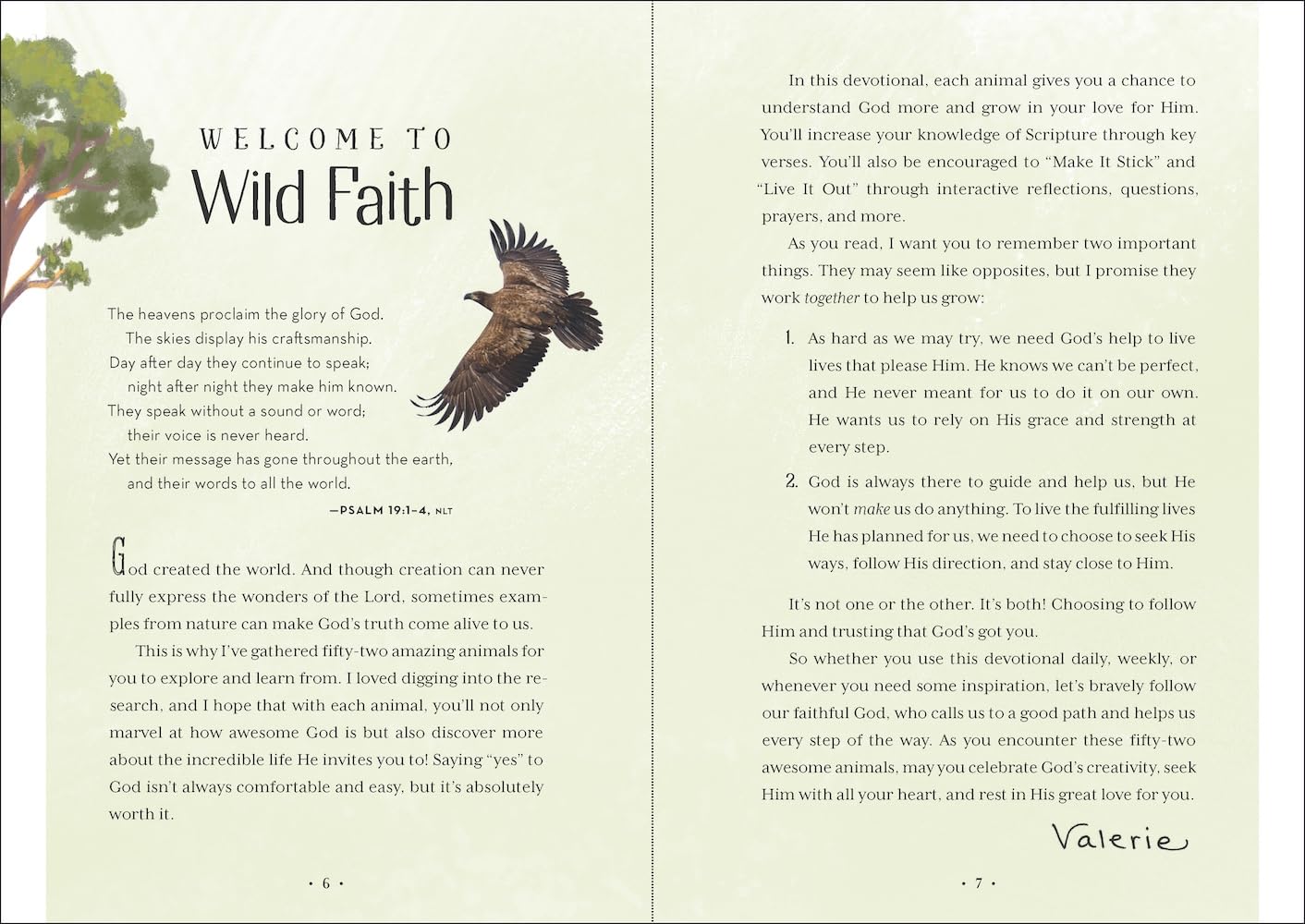Wild Faith Devotional for Kids