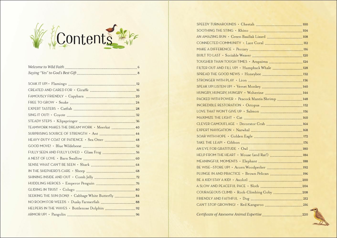 Wild Faith Devotional for Kids