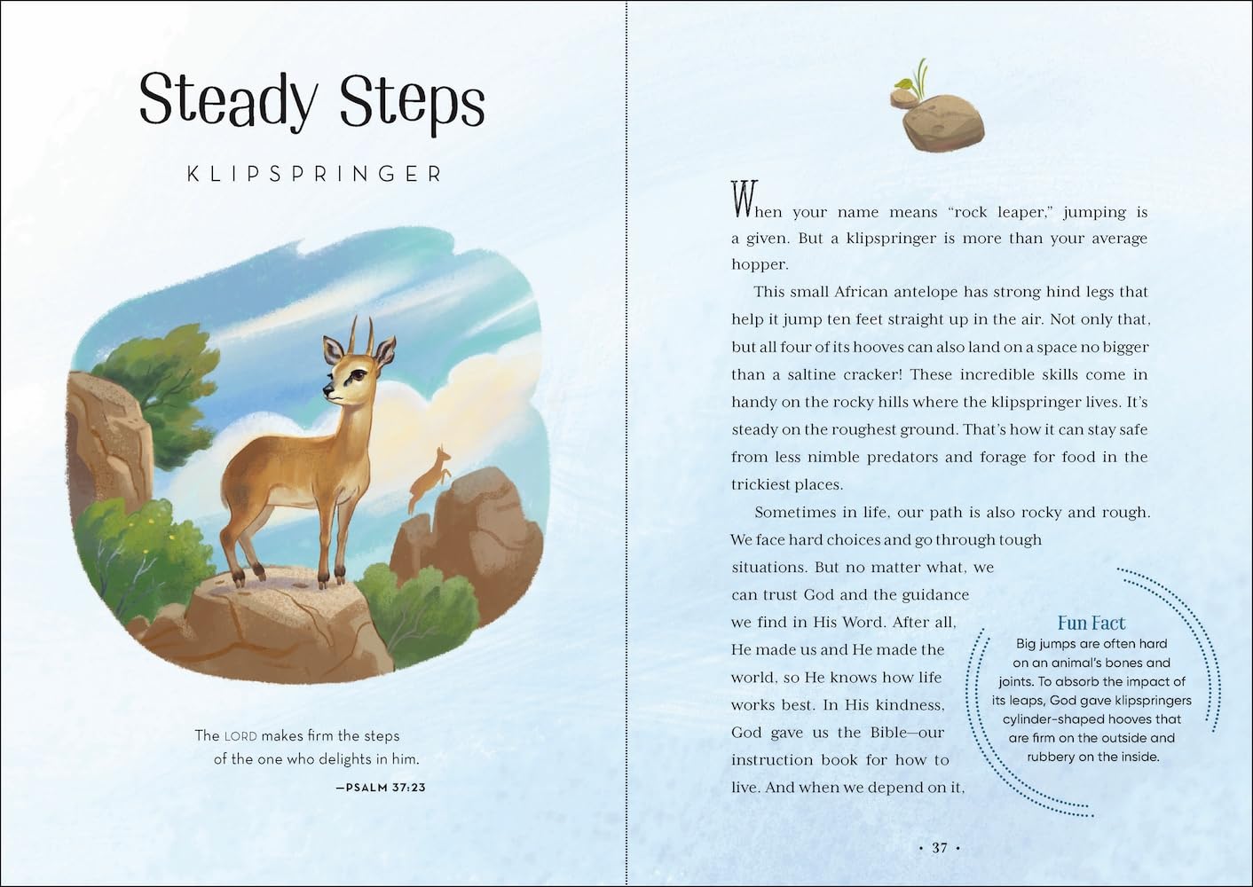 Wild Faith Devotional for Kids