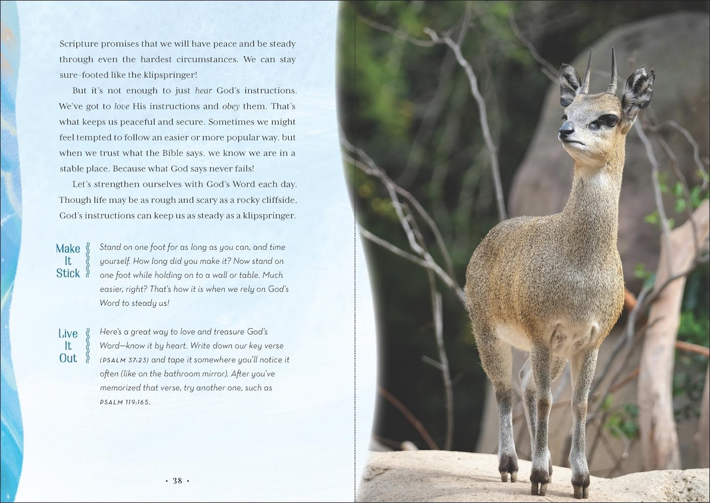 Wild Faith Devotional for Kids